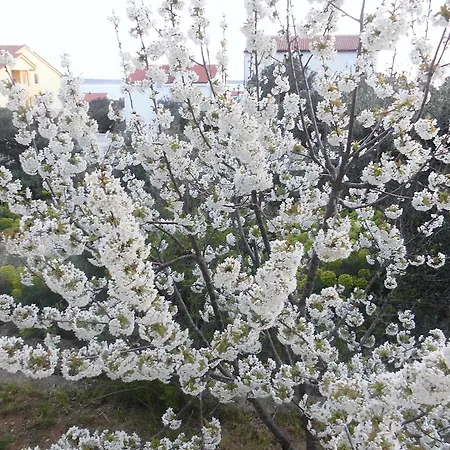 דירה Mara מאנדרה